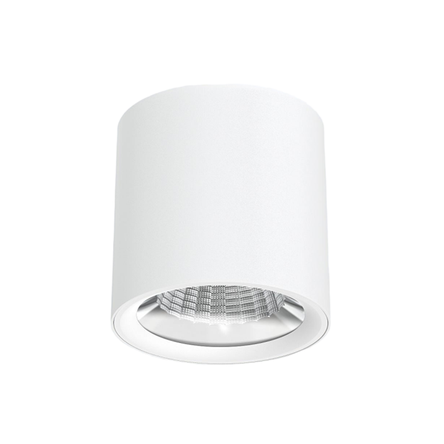 SURFACE‑MOUNT DOWNLIGHT 25W