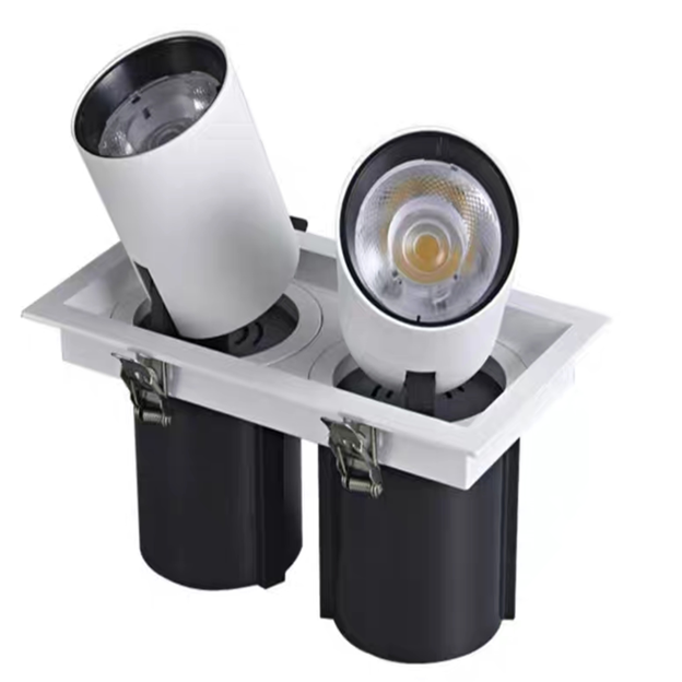 Adjustable Recessed Dual-Head LED Spotlight-2x12W-3000K