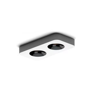 Surface-Mounted dual-Head LED Spotlight-2x12W