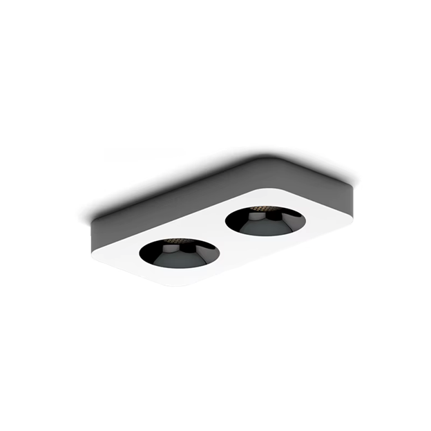 Surface-Mounted dual-Head LED Spotlight-2x12W